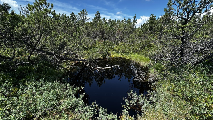 Objevte malý šumavský Yellowstone