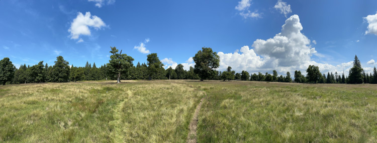 Objevte malý šumavský Yellowstone