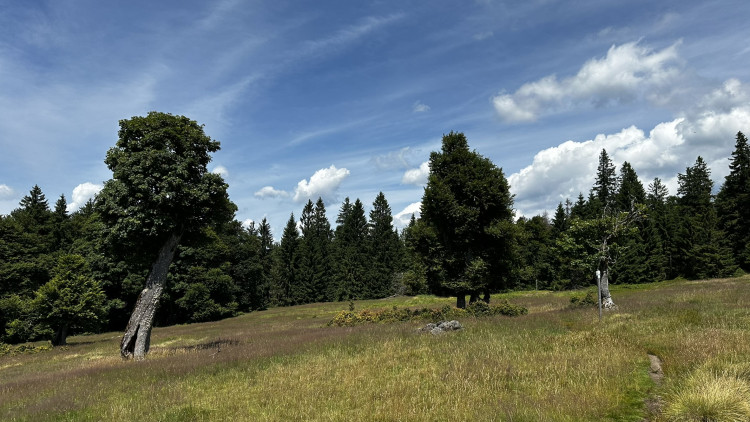 Objevte malý šumavský Yellowstone