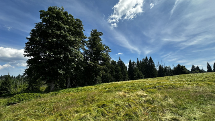 Objevte malý šumavský Yellowstone