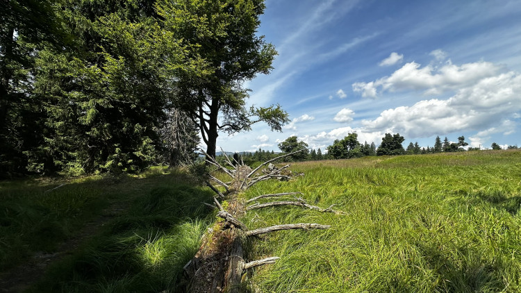 Objevte malý šumavský Yellowstone