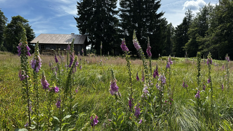 Objevte malý šumavský Yellowstone