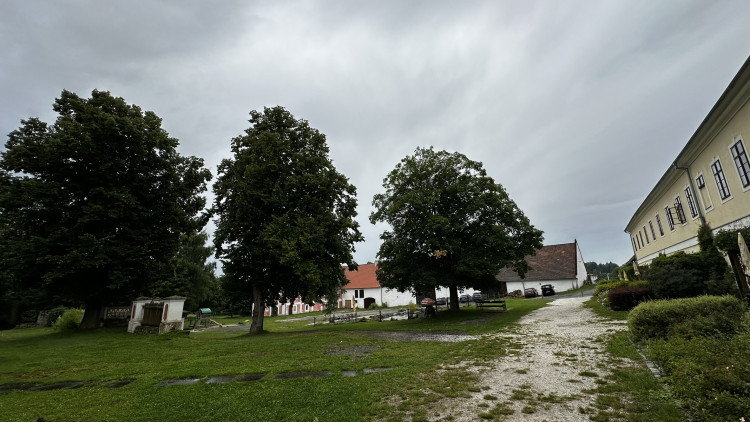 Zámek Mlázovy na Sušicku