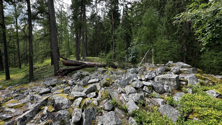 Jindřichova skála v Brdech