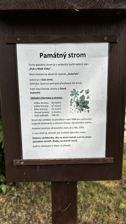 Památný strom