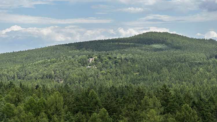 Jindřichova skála v Brdech