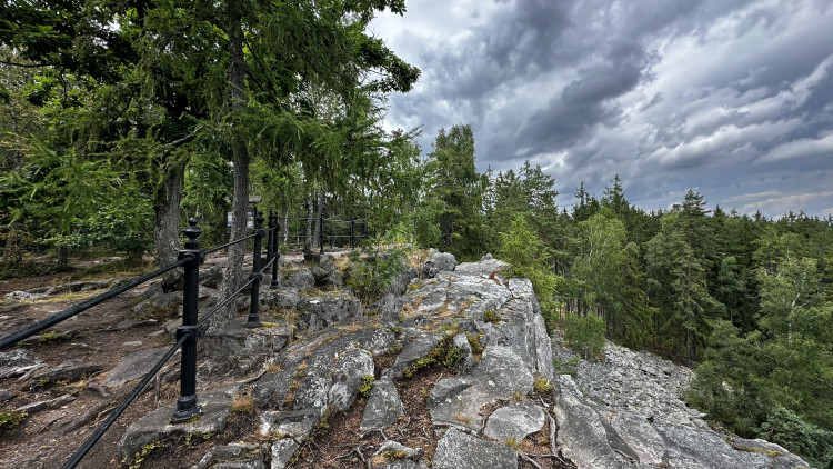 Jindřichova skála v Brdech