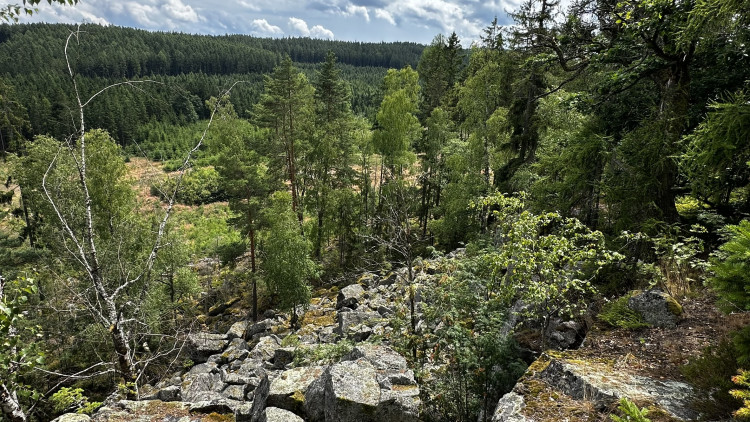 Jindřichova skála v Brdech