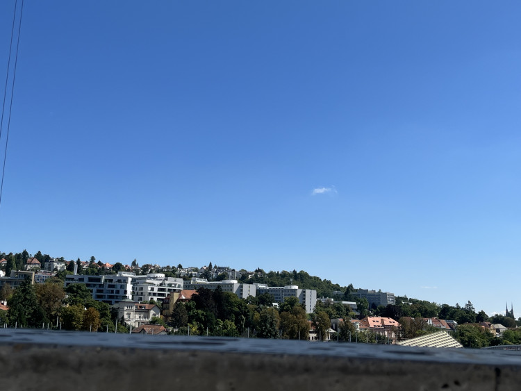 FOTO: Dělníci dokončili hrubou stavbu Areny Brno. Střechu zdobí májka pro štěstí