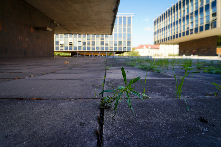 FOTOGALERIE: Oloupaná okna, zvlněná dlažba. Podívejte se, jak to vypadá v Pragerových kostkách