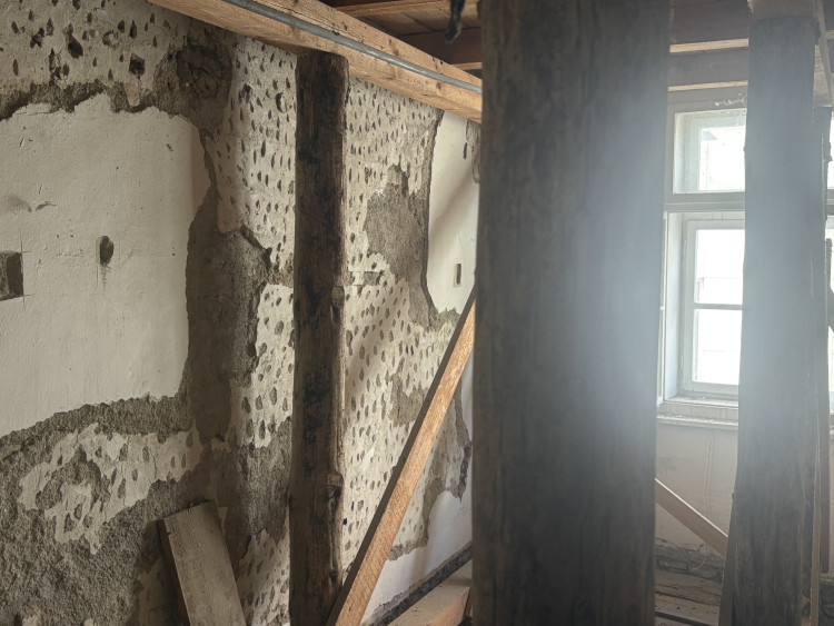 FOTOGALERIE: V domě na Mečové se našly historické malby. Vraťme umění lidem, vyzývá historik