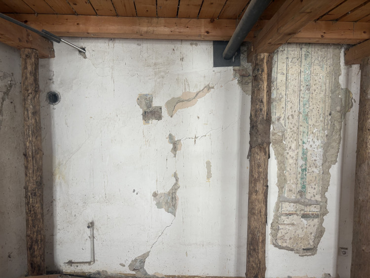 FOTOGALERIE: V domě na Mečové se našly historické malby. Vraťme umění lidem, vyzývá historik