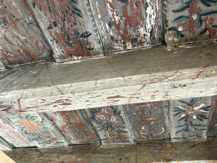 FOTOGALERIE: V domě na Mečové se našly historické malby. Vraťme umění lidem, vyzývá historik