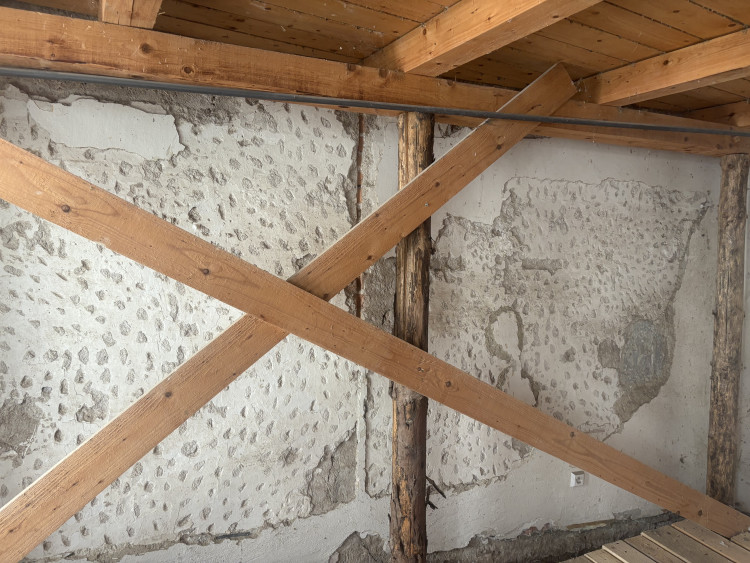 FOTOGALERIE: V domě na Mečové se našly historické malby. Vraťme umění lidem, vyzývá historik