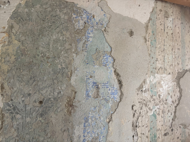 FOTOGALERIE: V domě na Mečové se našly historické malby. Vraťme umění lidem, vyzývá historik