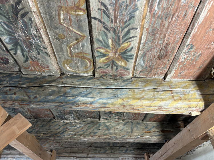 FOTOGALERIE: V domě na Mečové se našly historické malby. Vraťme umění lidem, vyzývá historik