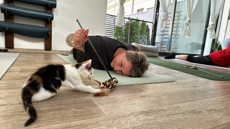 Jóga s koťaty