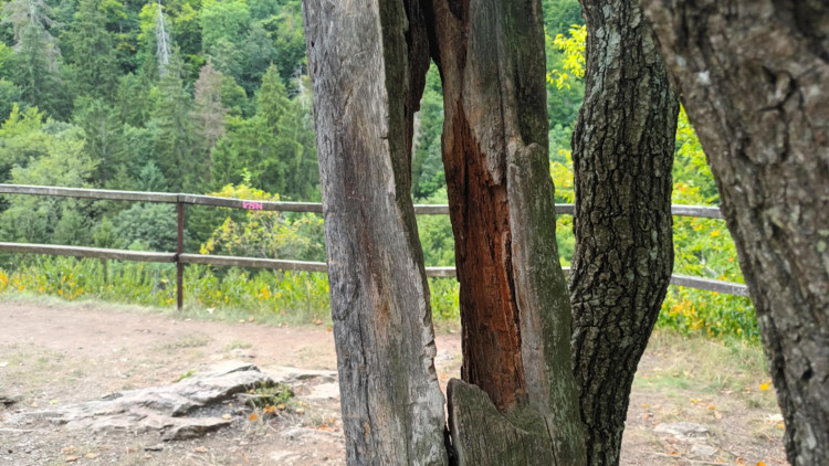 FOTOGALERIE: Indiánská hospoda, skalní brána, Zkamenělý zámek, Javoříčské jeskyně