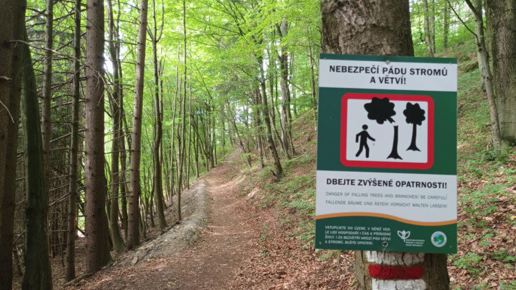 FOTOGALERIE: Indiánská hospoda, skalní brána, Zkamenělý zámek, Javoříčské jeskyně