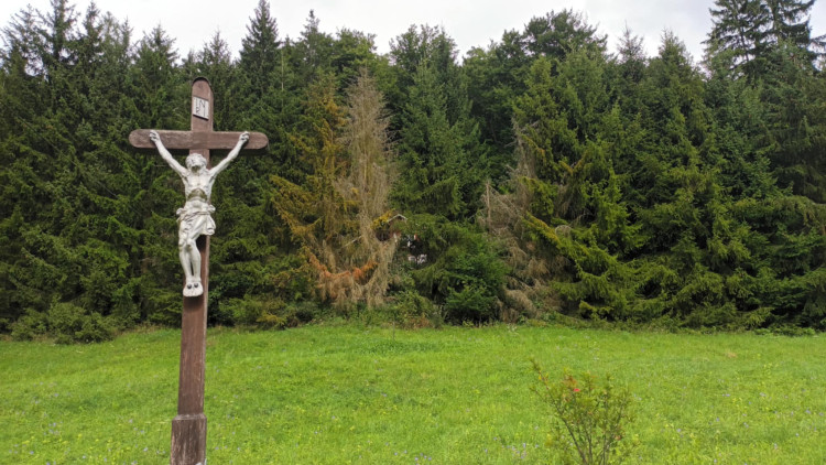 FOTOGALERIE: Indiánská hospoda, skalní brána, Zkamenělý zámek, Javoříčské jeskyně