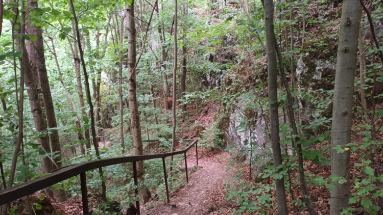 FOTOGALERIE: Indiánská hospoda, skalní brána, Zkamenělý zámek, Javoříčské jeskyně