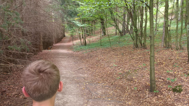 FOTOGALERIE: Indiánská hospoda, skalní brána, Zkamenělý zámek, Javoříčské jeskyně