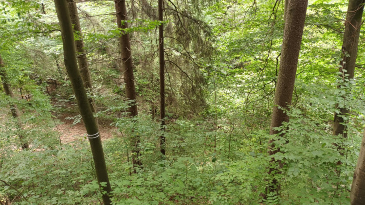 FOTOGALERIE: Indiánská hospoda, skalní brána, Zkamenělý zámek, Javoříčské jeskyně