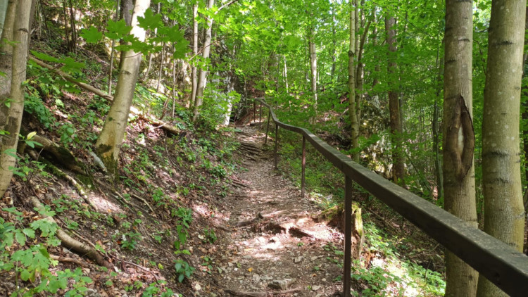 FOTOGALERIE: Indiánská hospoda, skalní brána, Zkamenělý zámek, Javoříčské jeskyně