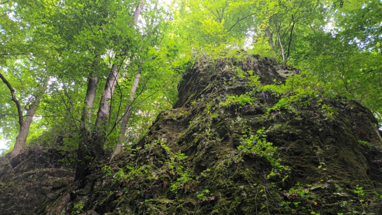 FOTOGALERIE: Indiánská hospoda, skalní brána, Zkamenělý zámek, Javoříčské jeskyně