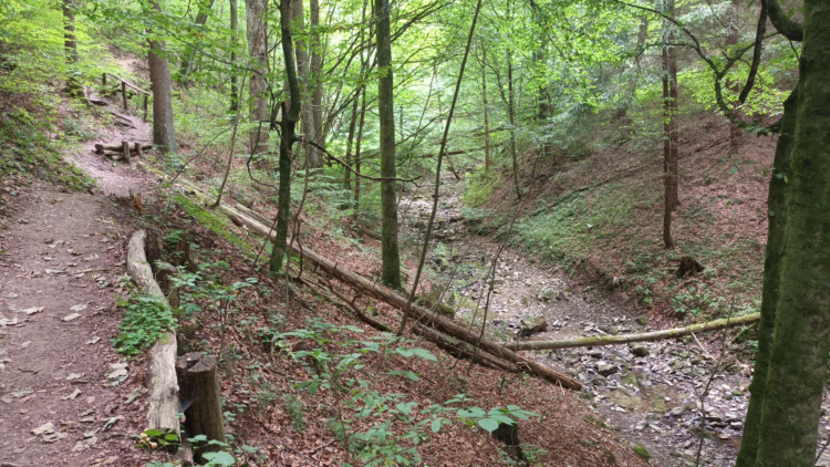 FOTOGALERIE: Indiánská hospoda, skalní brána, Zkamenělý zámek, Javoříčské jeskyně