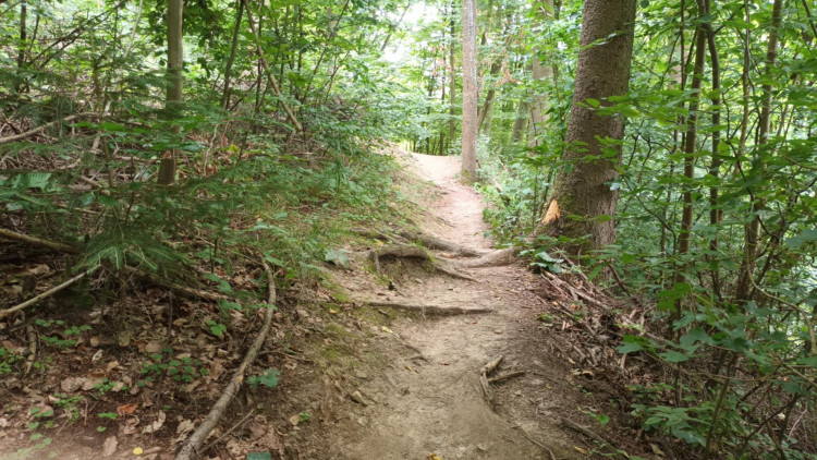 FOTOGALERIE: Indiánská hospoda, skalní brána, Zkamenělý zámek, Javoříčské jeskyně