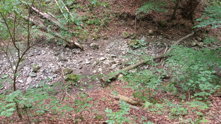 FOTOGALERIE: Indiánská hospoda, skalní brána, Zkamenělý zámek, Javoříčské jeskyně