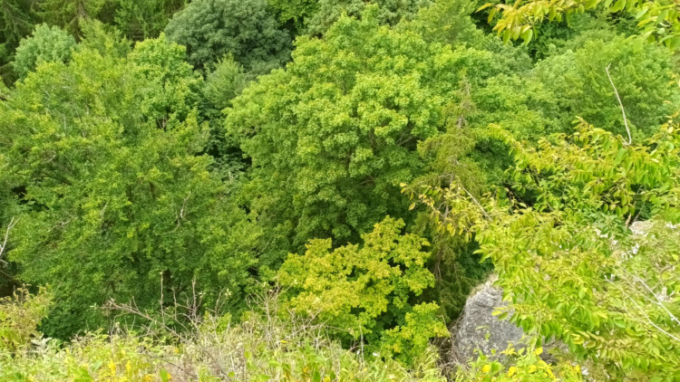 FOTOGALERIE: Indiánská hospoda, skalní brána, Zkamenělý zámek, Javoříčské jeskyně