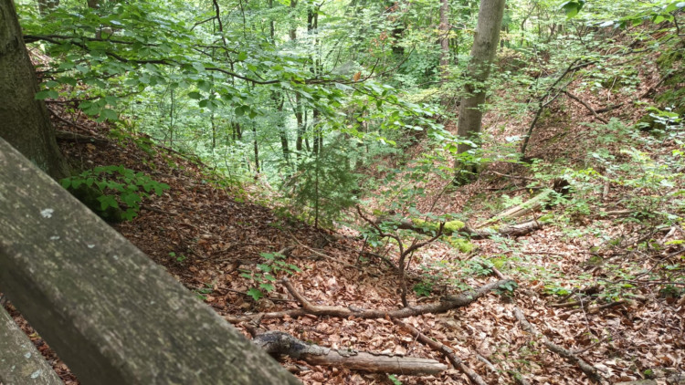 FOTOGALERIE: Indiánská hospoda, skalní brána, Zkamenělý zámek, Javoříčské jeskyně