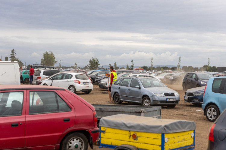 FOTO: Obrovský zájem o zeleninu z Hané. Samosběru u Olomouce přilákal tisíce lidí