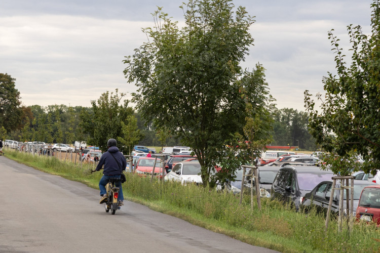 FOTO: Obrovský zájem o zeleninu z Hané. Samosběru u Olomouce přilákal tisíce lidí