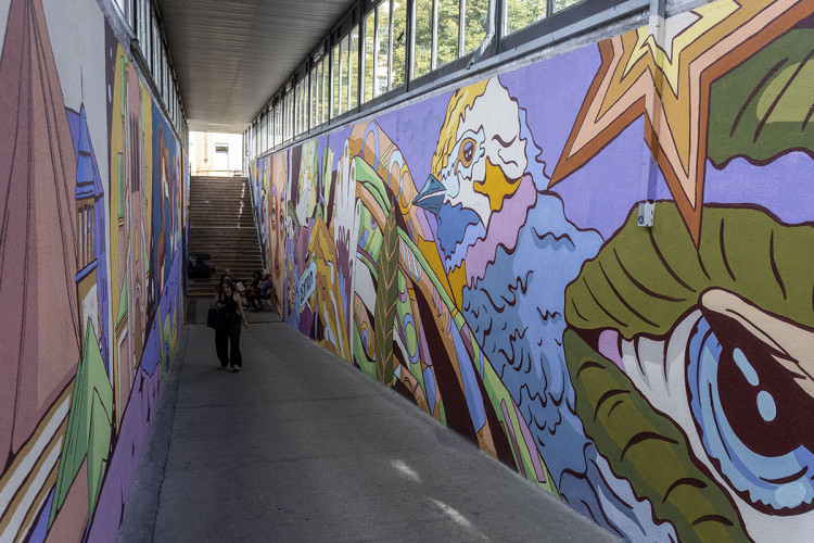 FOTOGALERIE: Streetartová úprava rozzářila pochod u olomoucké fakultní nemocnice