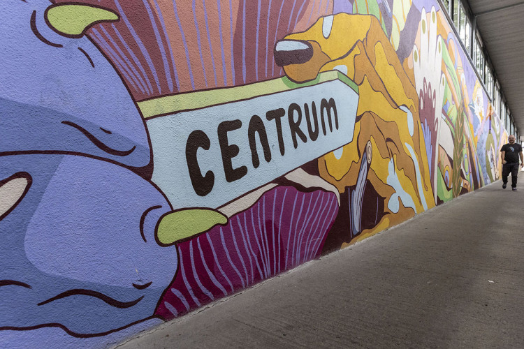 FOTOGALERIE: Streetartová úprava rozzářila pochod u olomoucké fakultní nemocnice