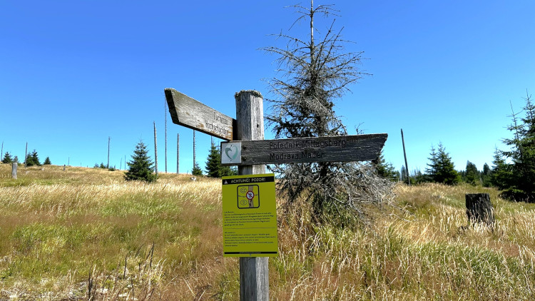 Výlet na Poledník z německé strany hranice - z parkoviště v Buchenau