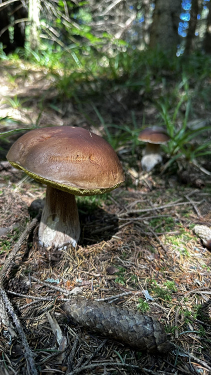 Výlet na Poledník z německé strany hranice - z parkoviště v Buchenau