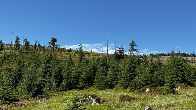 Výlet na Poledník z německé strany hranice - z parkoviště v Buchenau