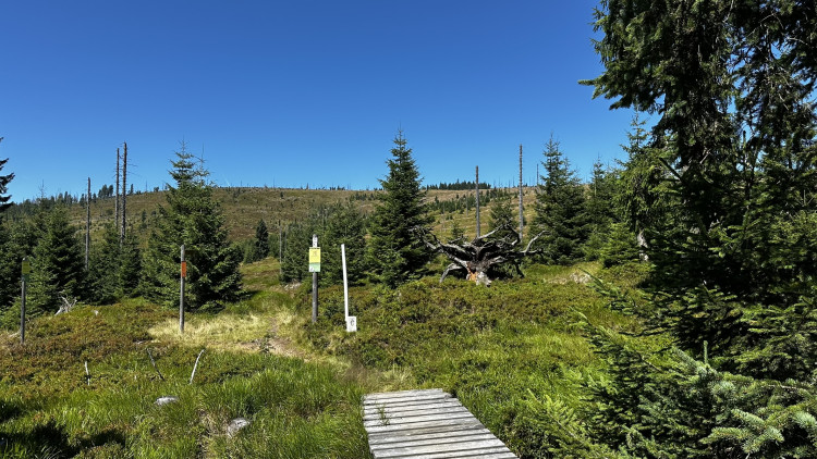 Výlet na Poledník z německé strany hranice - z parkoviště v Buchenau