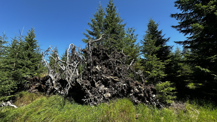 Výlet na Poledník z německé strany hranice - z parkoviště v Buchenau