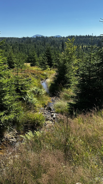 Výlet na Poledník z německé strany hranice - z parkoviště v Buchenau