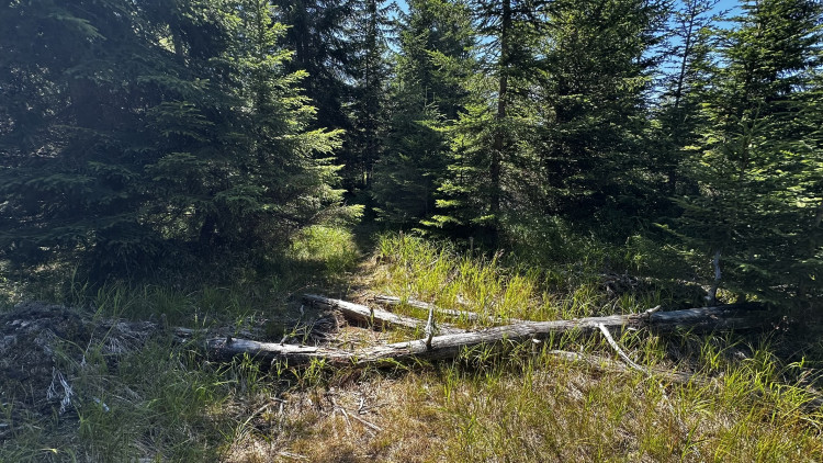 Výlet na Poledník z německé strany hranice - z parkoviště v Buchenau
