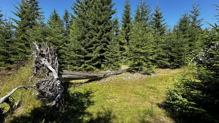 Výlet na Poledník z německé strany hranice - z parkoviště v Buchenau