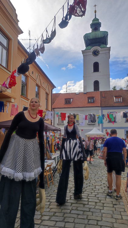 Ulice Budějc rozzářily barvy festivalu Město lidem, lidé městu