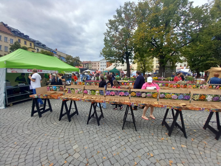 Dožínky v Jihlavě 2025