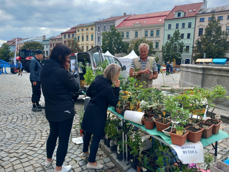 Dožínky v Jihlavě 2025