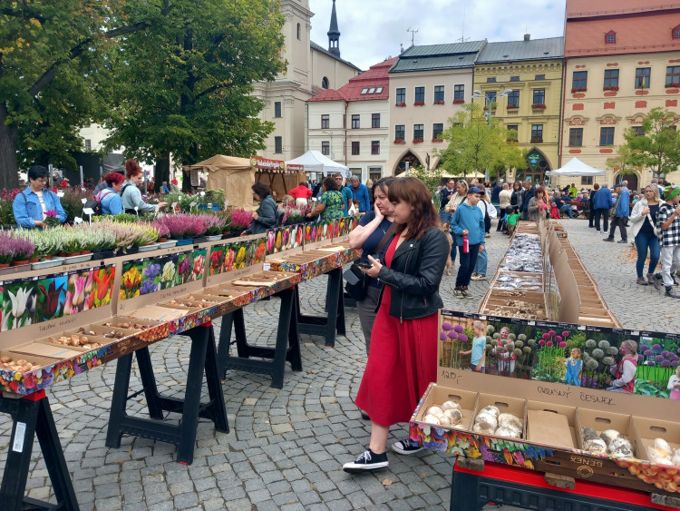 Dožínky v Jihlavě 2025